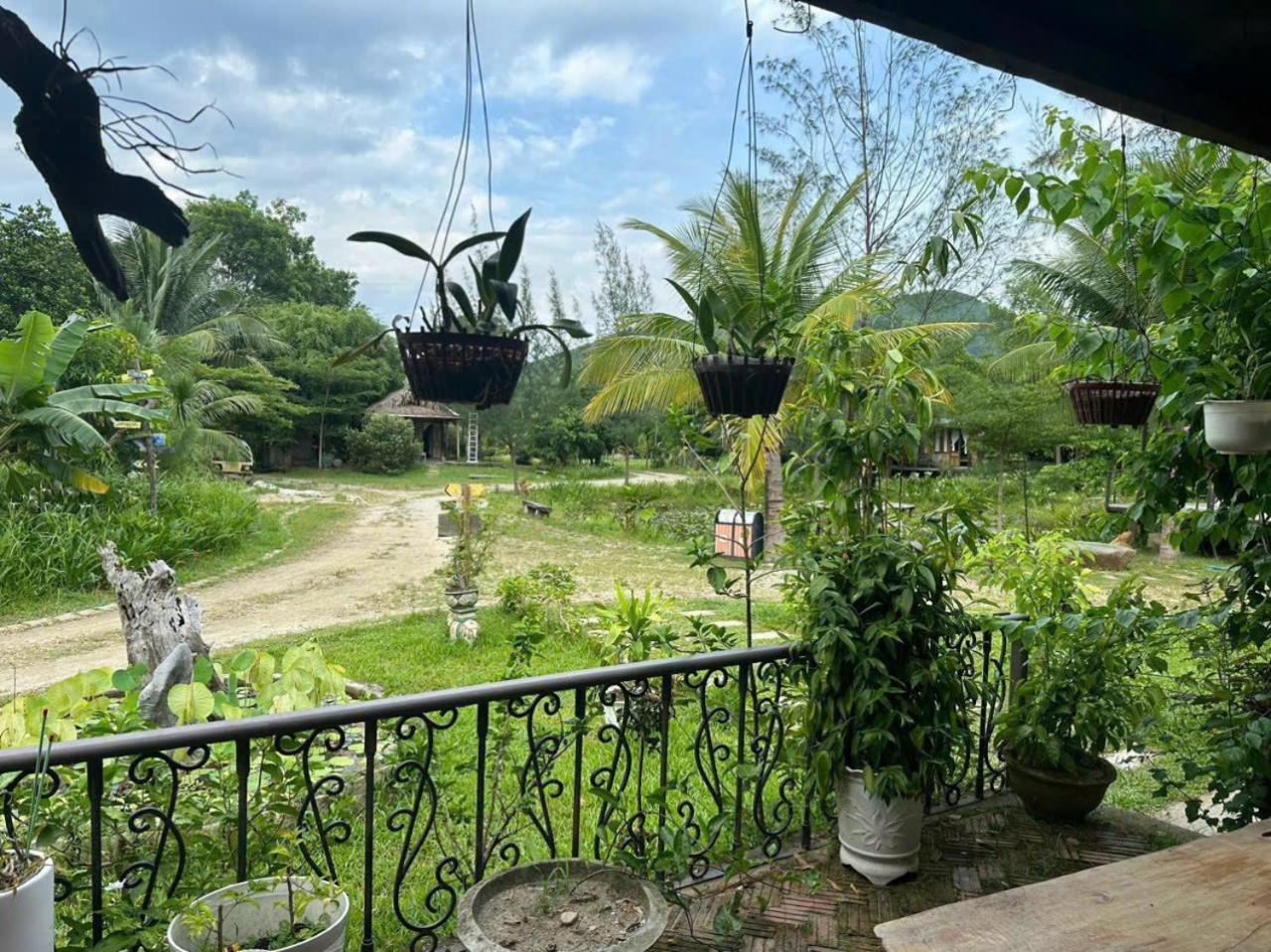 Homie Hava Homestay 陵姑湾 外观 照片